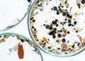 Microplastic Consumption