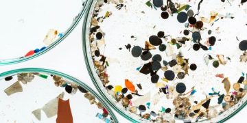 Microplastic Consumption