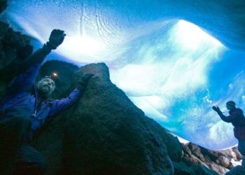 Ecosystem Beneath Antarctic Ice