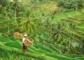 Indonesia National Farmers Day