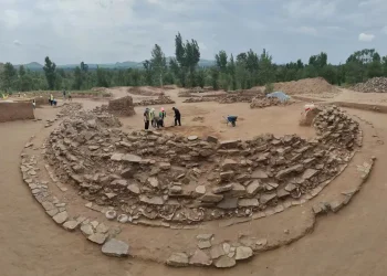 Largest Dragon-Shaped Jade from Neolithic Era Discovered in China