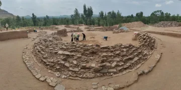 Largest Dragon-Shaped Jade from Neolithic Era Discovered in China