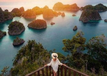 Indonesia Tourism Revenue