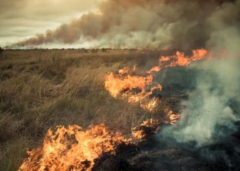 Wildfire on Anak Dara Hills