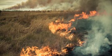Wildfire on Anak Dara Hills