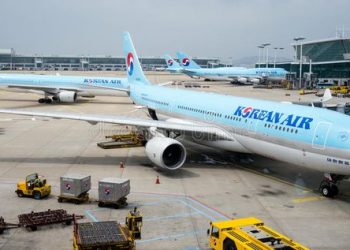 South Korean Tourists