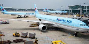 South Korean Tourists