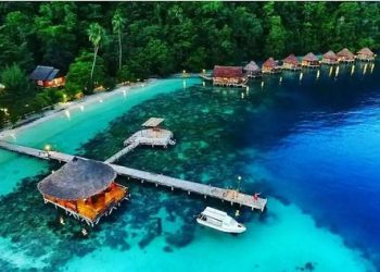 Foreign Nationals Businesses