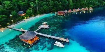 Foreign Nationals Businesses