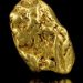 Gold Nugget
