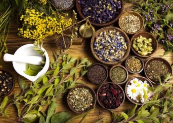 natural medicine exports