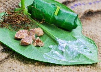 Indonesia Betel Chewing Tradition