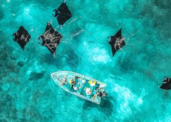 Manta Point Labuan Bajo