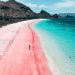 Pink Beach Komodo National Park