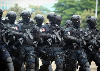 Indonesia Peacekeepers