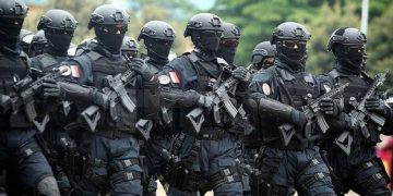 Indonesia Peacekeepers