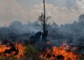 99% South Sumatra Forest Fires Caused by Human Activity