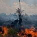 99% South Sumatra Forest Fires Caused by Human Activity