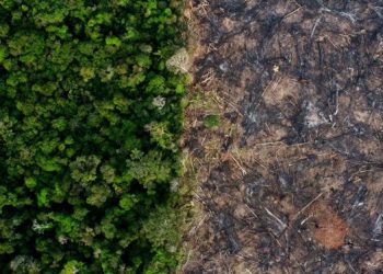 European Union Deforestation Regulation