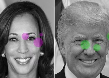 2024 U.S. Presidential Election