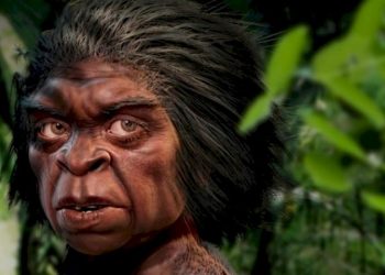 What Are the Suku Mante?