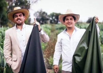 Cactus Leather Discovered, A Green Alternative to Traditional Animal Leather