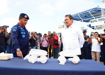 Lobster Seed Smuggling