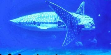 Robotic Whale Sharks