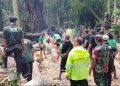 Tree Collapse in Bali Monkey Forest, Killing Two Foreign Tourists