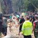 Tree Collapse in Bali Monkey Forest, Killing Two Foreign Tourists