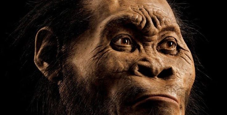 Ancient human