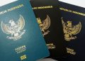 passport fees