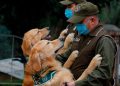 Dogs Detect cancer