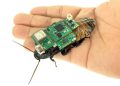 Cyborg Cockroaches