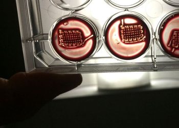 3D Printed Blood