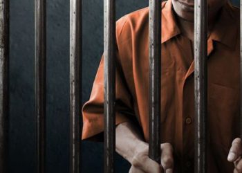 Christmas Remissions