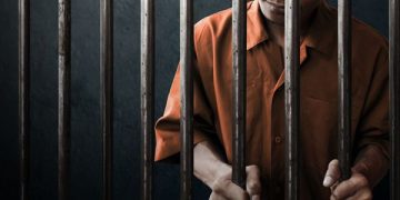 Christmas Remissions