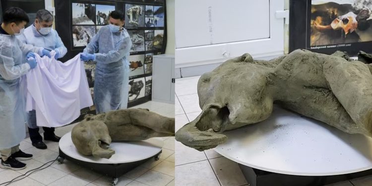 Mammoth