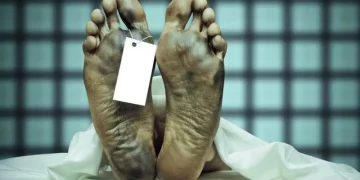 Indonesian National Killed