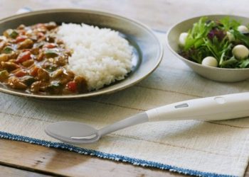 Electric Salt Spoon