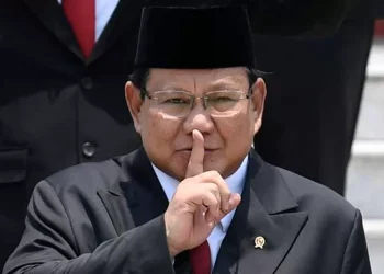 Indonesia Fiscal