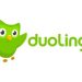 Mandarin Lessons Duolingo
