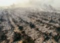 Los Angeles Wildfires