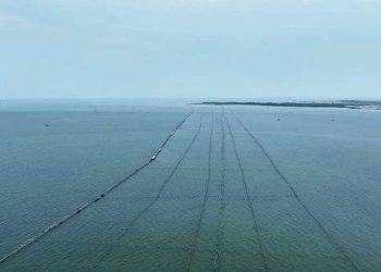 Indonesian Ministry Investigates Mysterious Sea Fence Tangerang, Banten