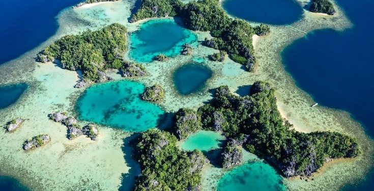 Coral Triangle