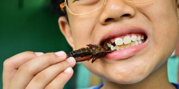 Free Nutritious Meal