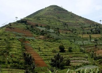 Gunung Padang