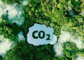 Indonesia Carbon Credit