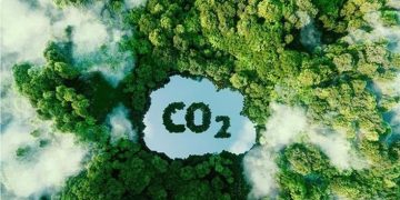 Indonesia Carbon Credit