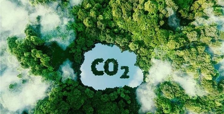 Indonesia Carbon Credit